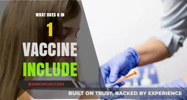 Understanding the Comprehensive 6-in-1 Vaccine: Components and Benefits