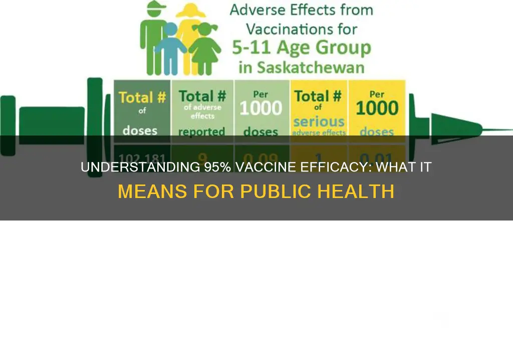 what does 95 efficacy mean for vaccine