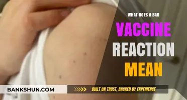 Understanding Severe Vaccine Reactions: Causes, Symptoms, and Next Steps