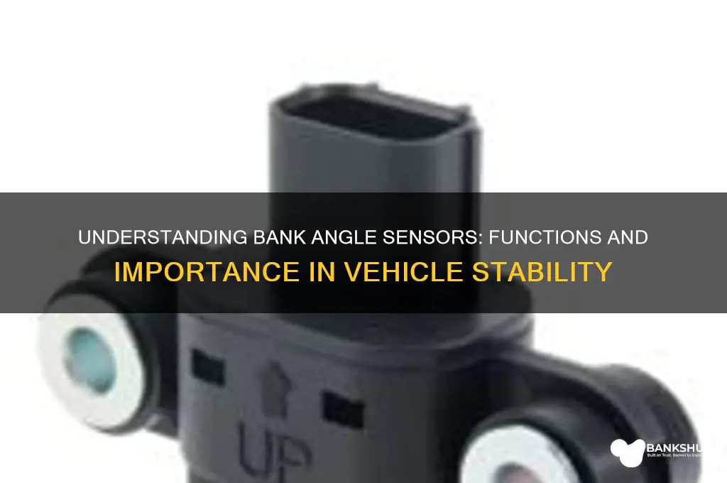 what does a bank angle sensor do