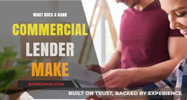 Bank Commercial Lender Salary: Earnings, Bonuses, and Career Growth Insights
