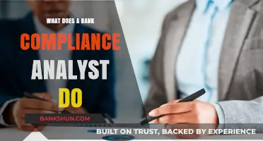 Understanding the Role of a Bank Compliance Analyst: Duties and Responsibilities