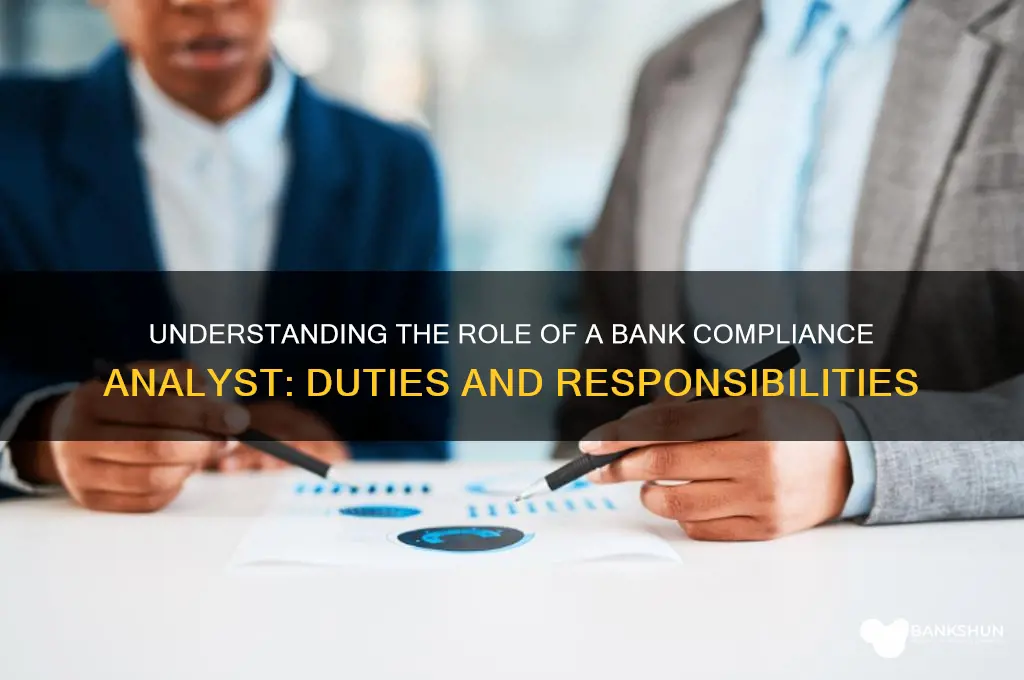 what does a bank compliance analyst do