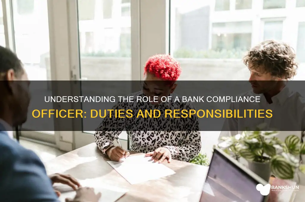 what does a bank compliance officer do