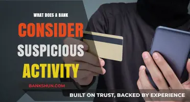 Unveiling Red Flags: What Banks Flag as Suspicious Activity