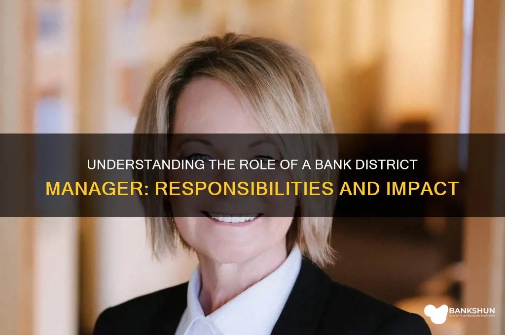 what does a bank district manager do