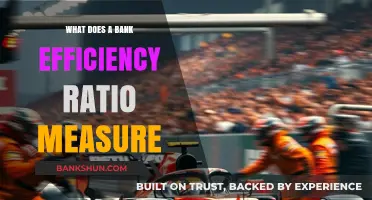 Understanding Bank Efficiency Ratio: Key Metrics for Financial Performance