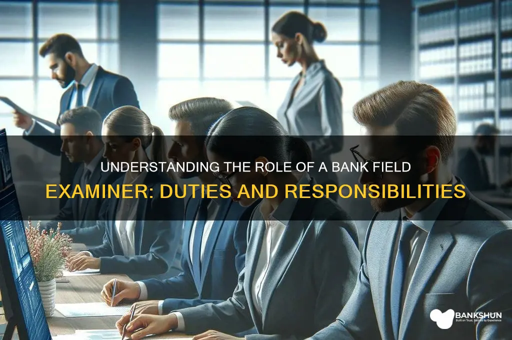 what does a bank field examiner do