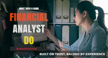 Understanding the Role of a Bank Financial Analyst: Key Responsibilities and Skills
