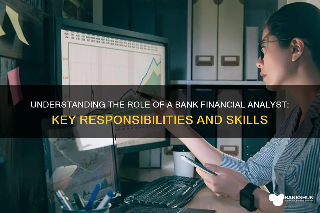 what does a bank financial analyst do