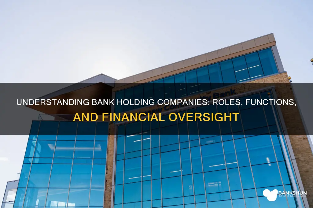 what does a bank holding company do