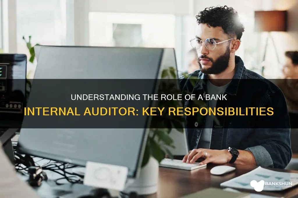 what does a bank internal auditor do