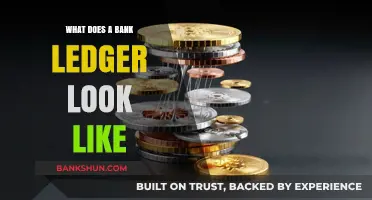 Understanding Bank Ledgers: A Visual Guide to Their Structure and Format