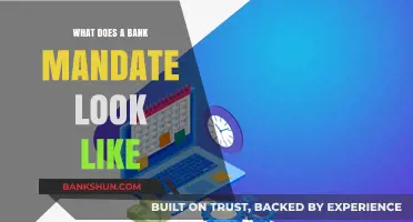 Understanding Bank Mandates: A Visual Guide to Their Structure and Format