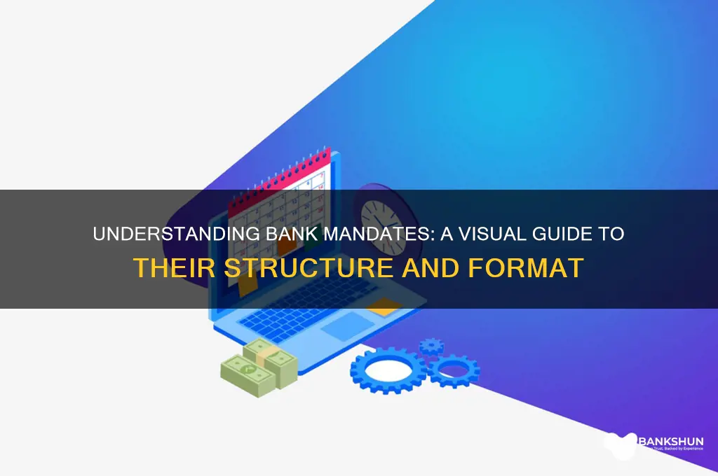 what does a bank mandate look like