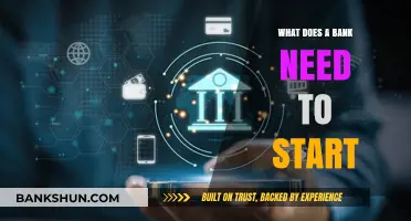 Essential Steps and Requirements to Launch a Successful Bank