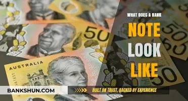 Exploring the Design and Features of a Standard Bank Note