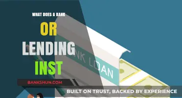 Understanding Bank and Lending Institution Roles in Personal Finance