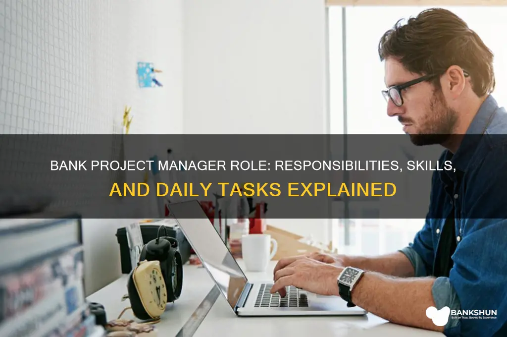 what does a bank project manager do