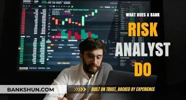 Understanding the Role of a Bank Risk Analyst: Key Responsibilities and Skills