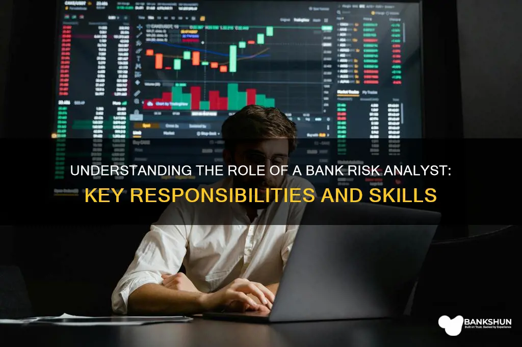 what does a bank risk analyst do