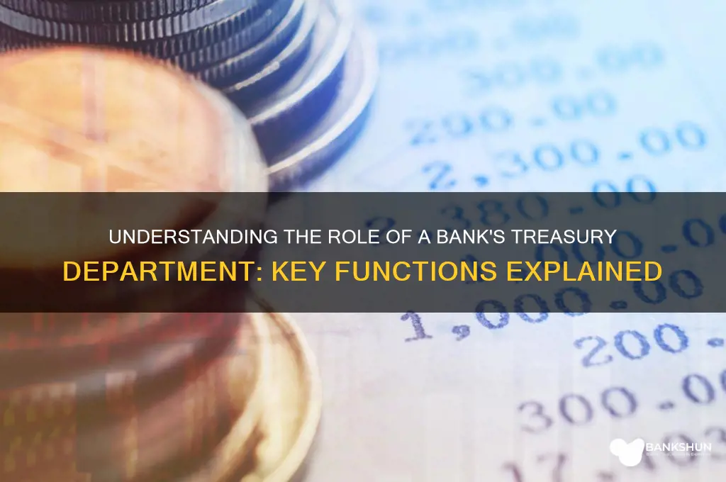 what does a bank treasury department do