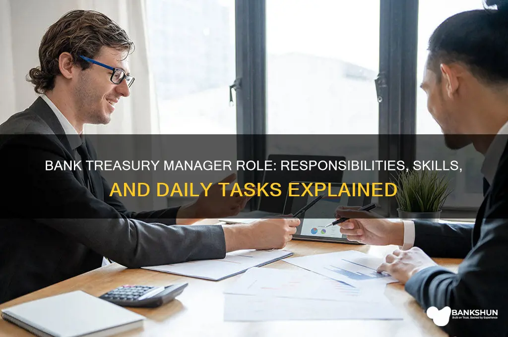 what does a bank treasury manager do
