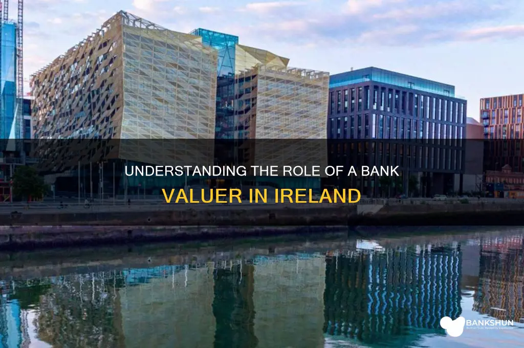 what does a bank valuer do ireland