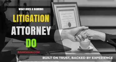 Understanding the Role of a Banking Litigation Attorney in Legal Disputes