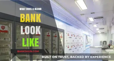 Inside a Blood Bank: Facilities, Equipment, and Lifesaving Operations