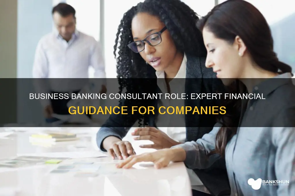 what does a business banking consultant do