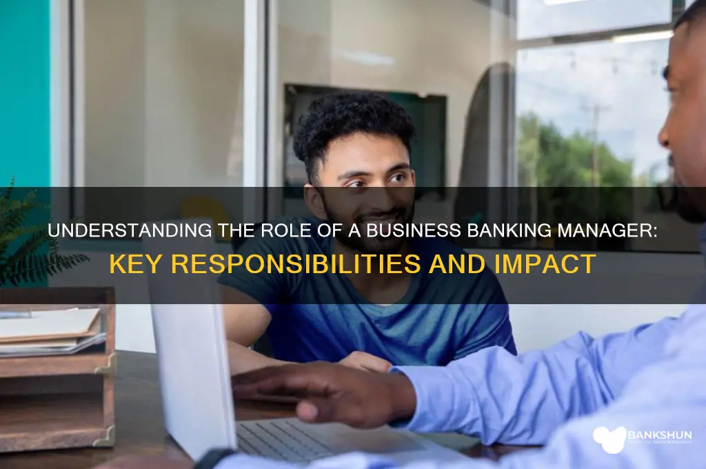 what does a business banking manager do