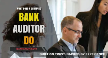 Certified Bank Auditor Role: Responsibilities, Qualifications, and Career Insights