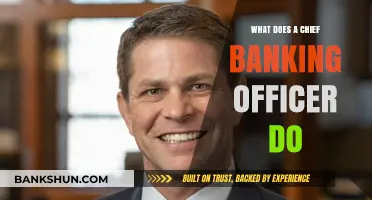 Chief Banking Officer Role: Responsibilities, Leadership, and Strategic Impact