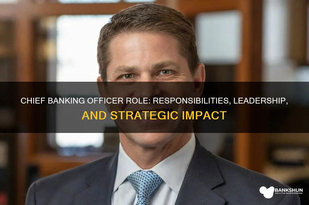 what does a chief banking officer do