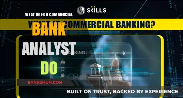 Exploring the Role of a Commercial Bank Analyst: Duties and Responsibilities