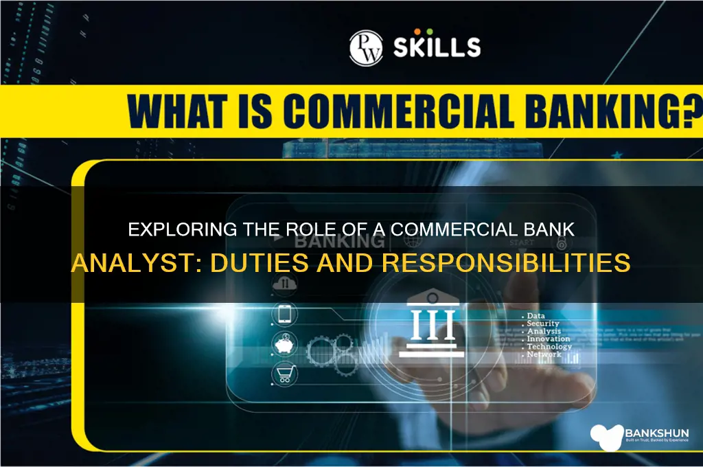 what does a commercial bank analyst do