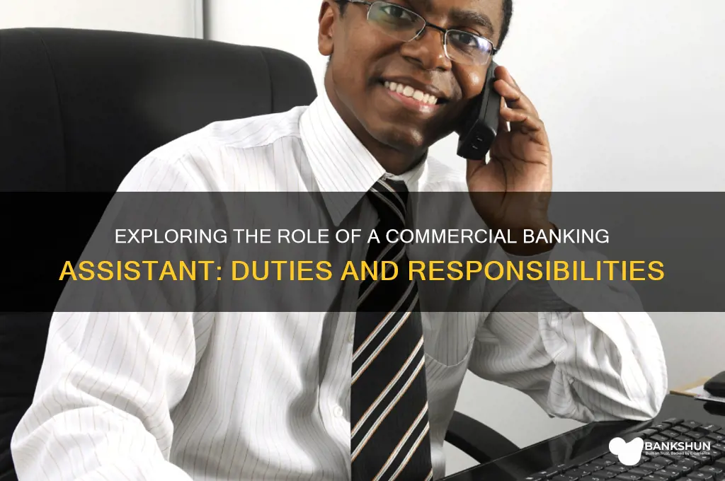 what does a commercial banking assistant do