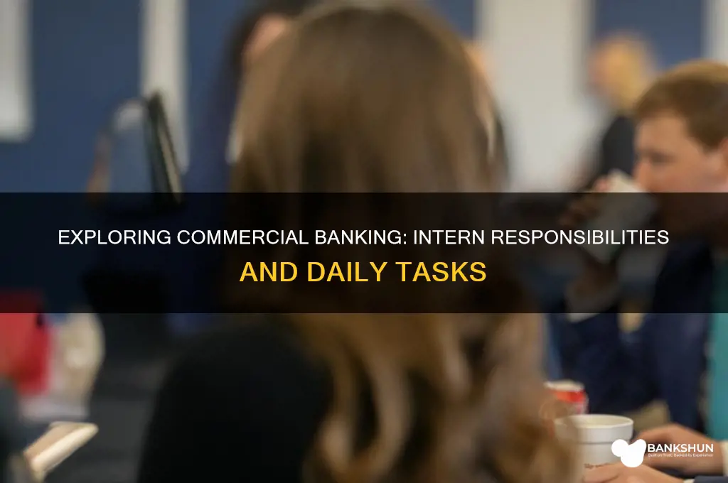what does a commercial banking intern do