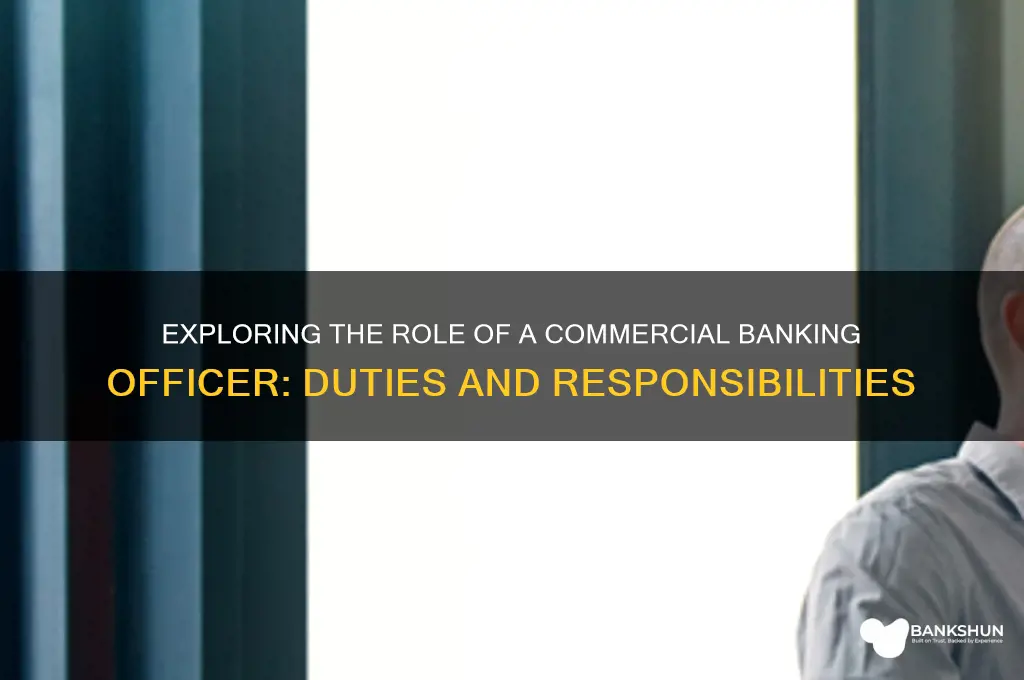 what does a commercial banking officer do
