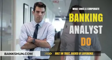 Corporate Banking Analyst Role: Responsibilities, Skills, and Career Path Explained