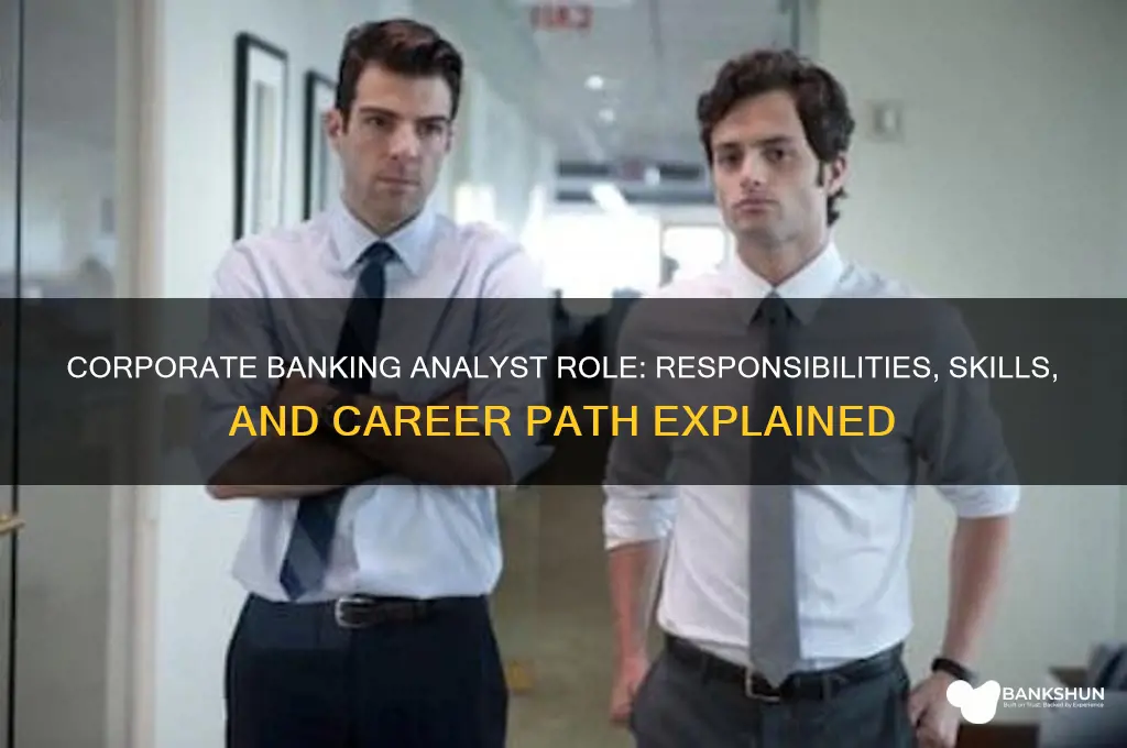 what does a corporate banking analyst do