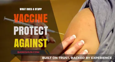 DTaP Vaccine: Shielding Against Diphtheria, Tetanus, and Pertussis Threats