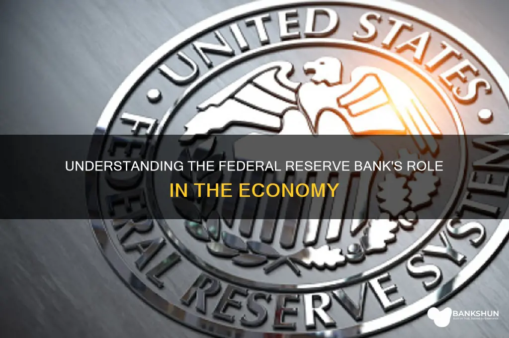 what does a federal reserve bank do