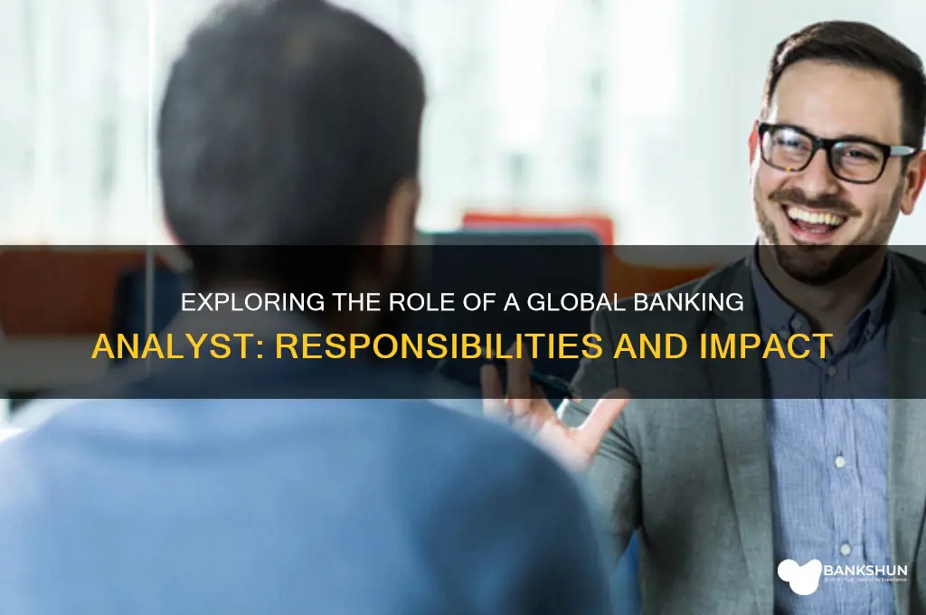 what does a global banking analyst do