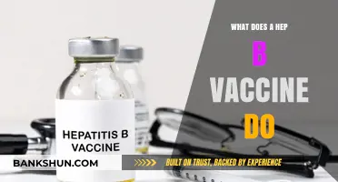 Understanding Hepatitis B Vaccine: How It Protects Against Liver Infections