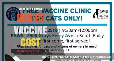Understanding the Cost of Human Rabies Vaccines: A Comprehensive Guide