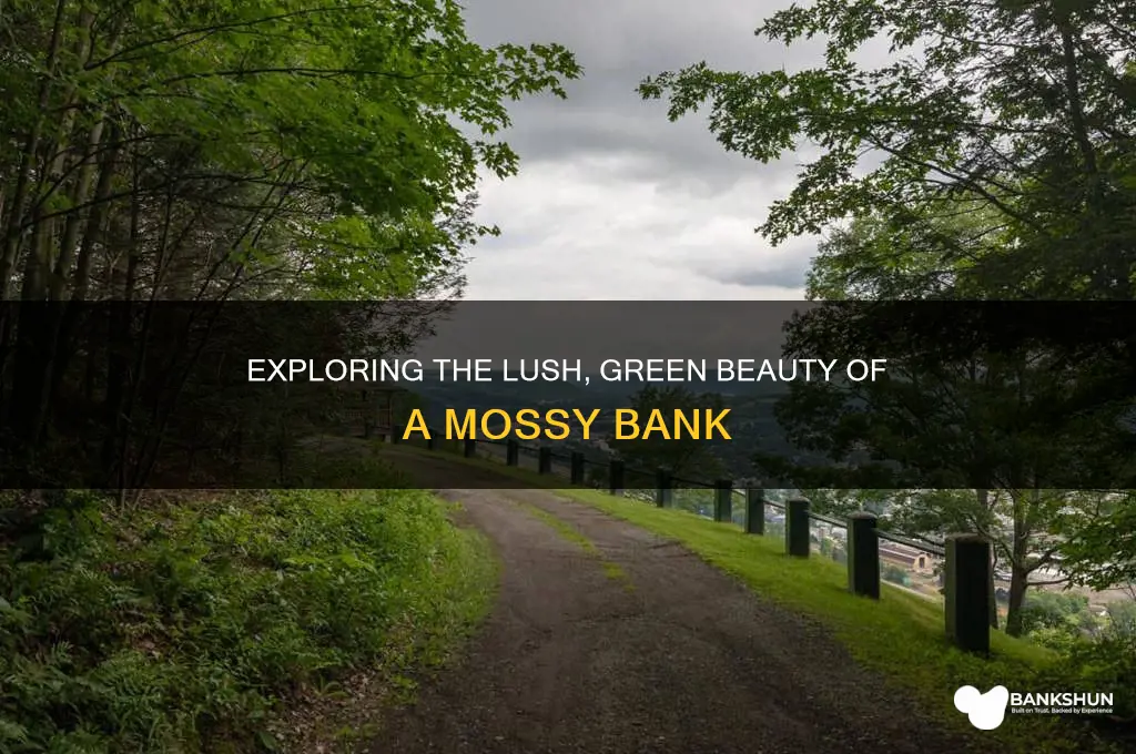 what does a mossy bank look like