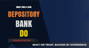 Understanding Non-Depository Banks: Roles, Functions, and Financial Services