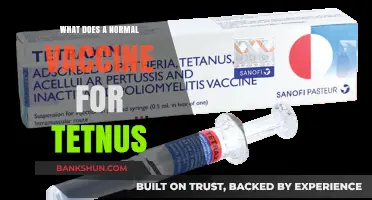 Understanding the Standard Tetanus Vaccine: Composition, Dosage, and Protection